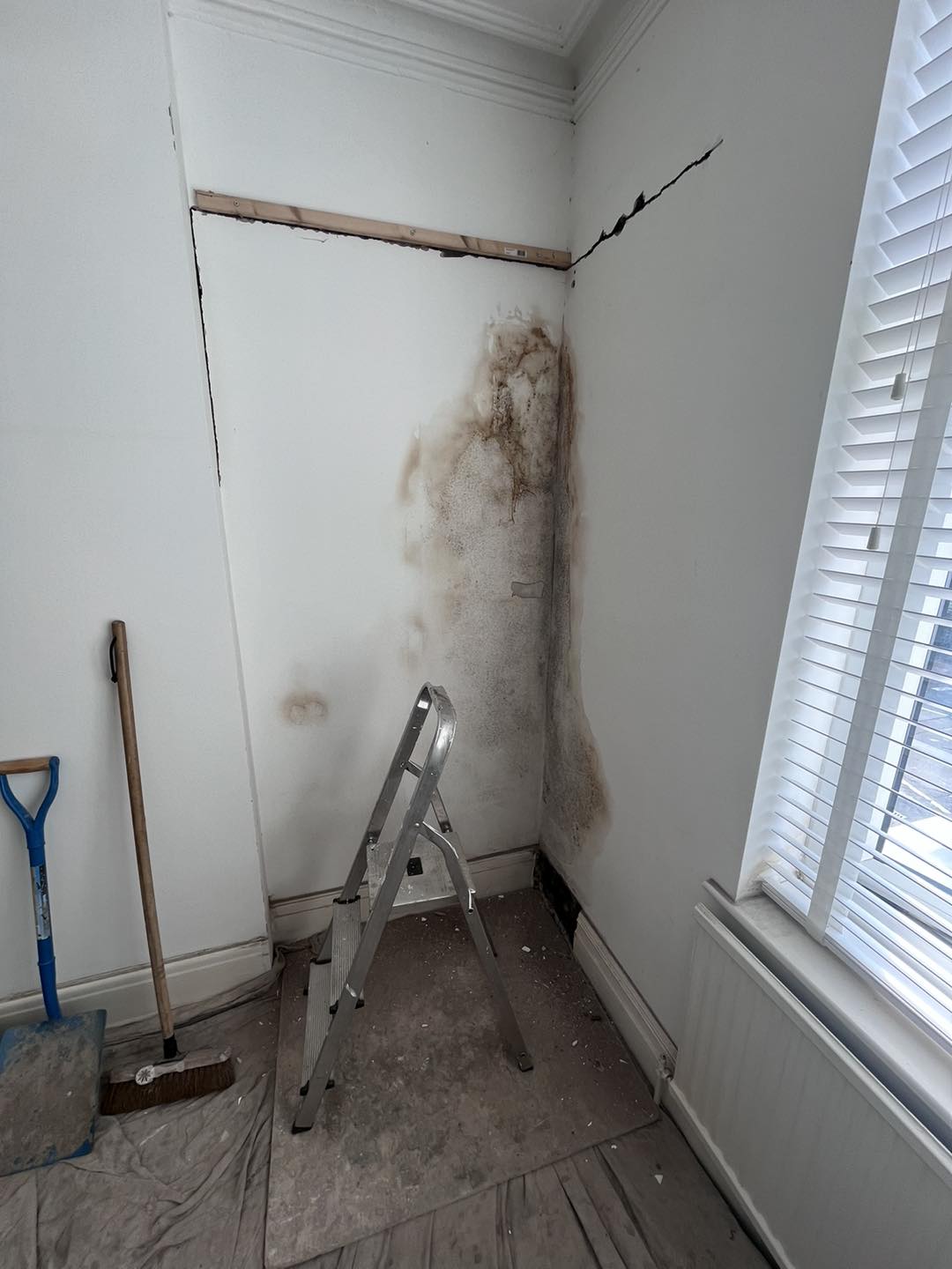 Damp Proofing