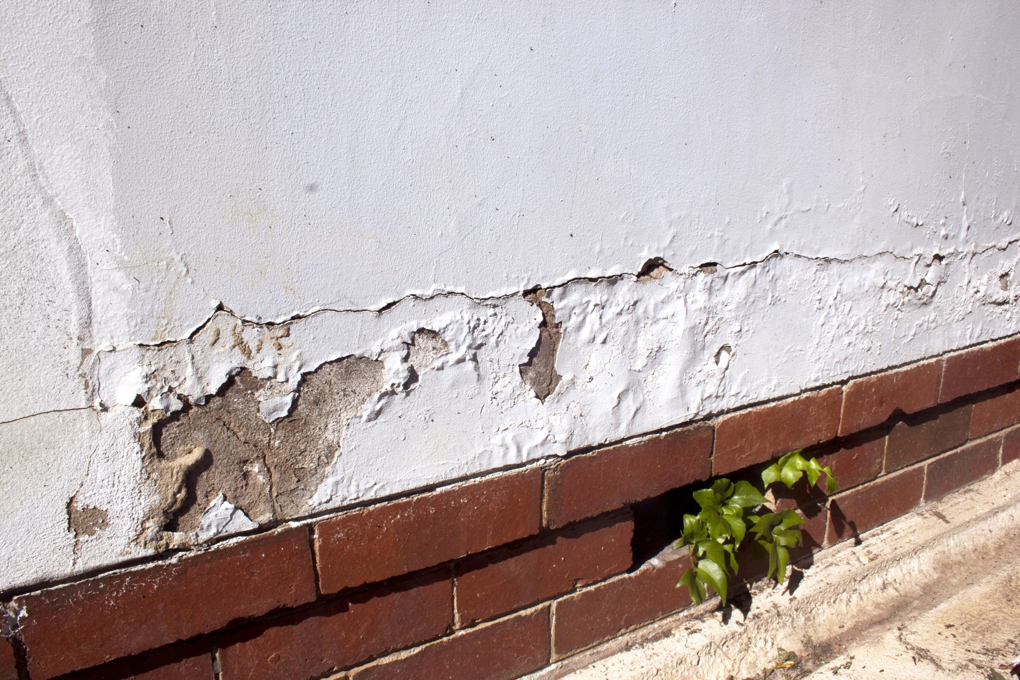 Cracking and peeling paint due to rising damp