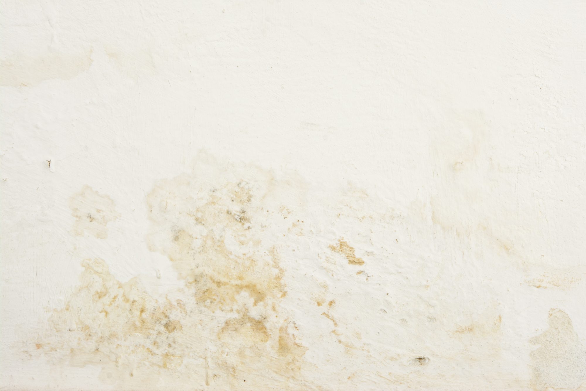 Damp Wall causing damage inside a House